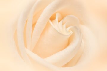 Photo Beige trousers